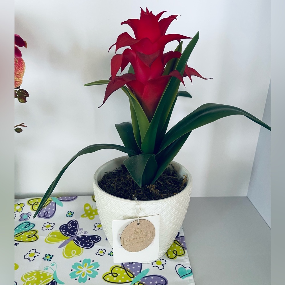 Red Faux Bromeliad in White Pot